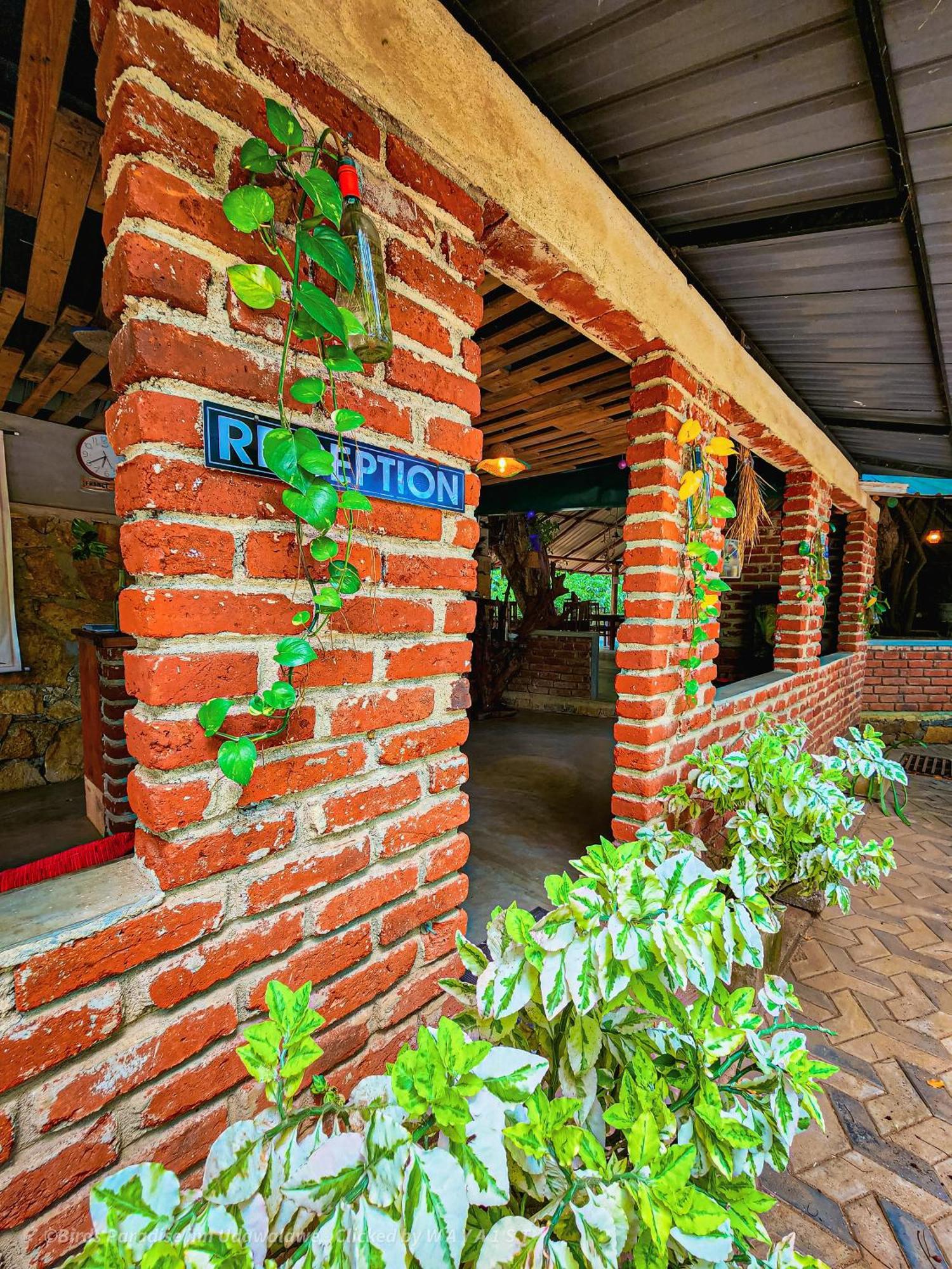 Birds Paradise Inn Удавалаве Экстерьер фото