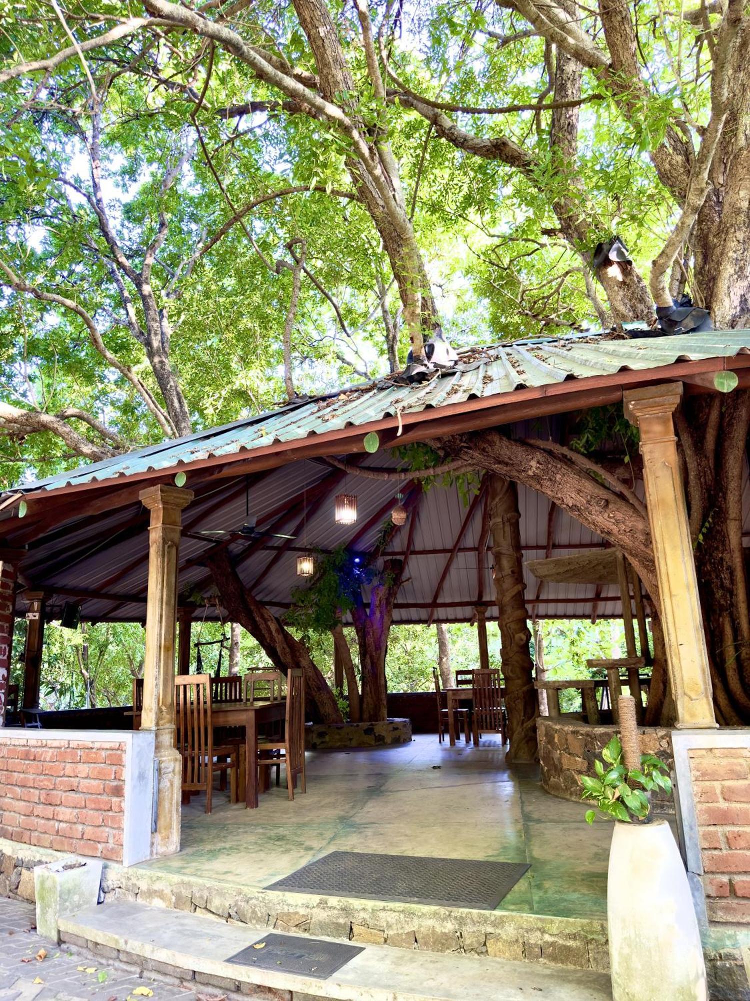 Birds Paradise Inn Удавалаве Экстерьер фото