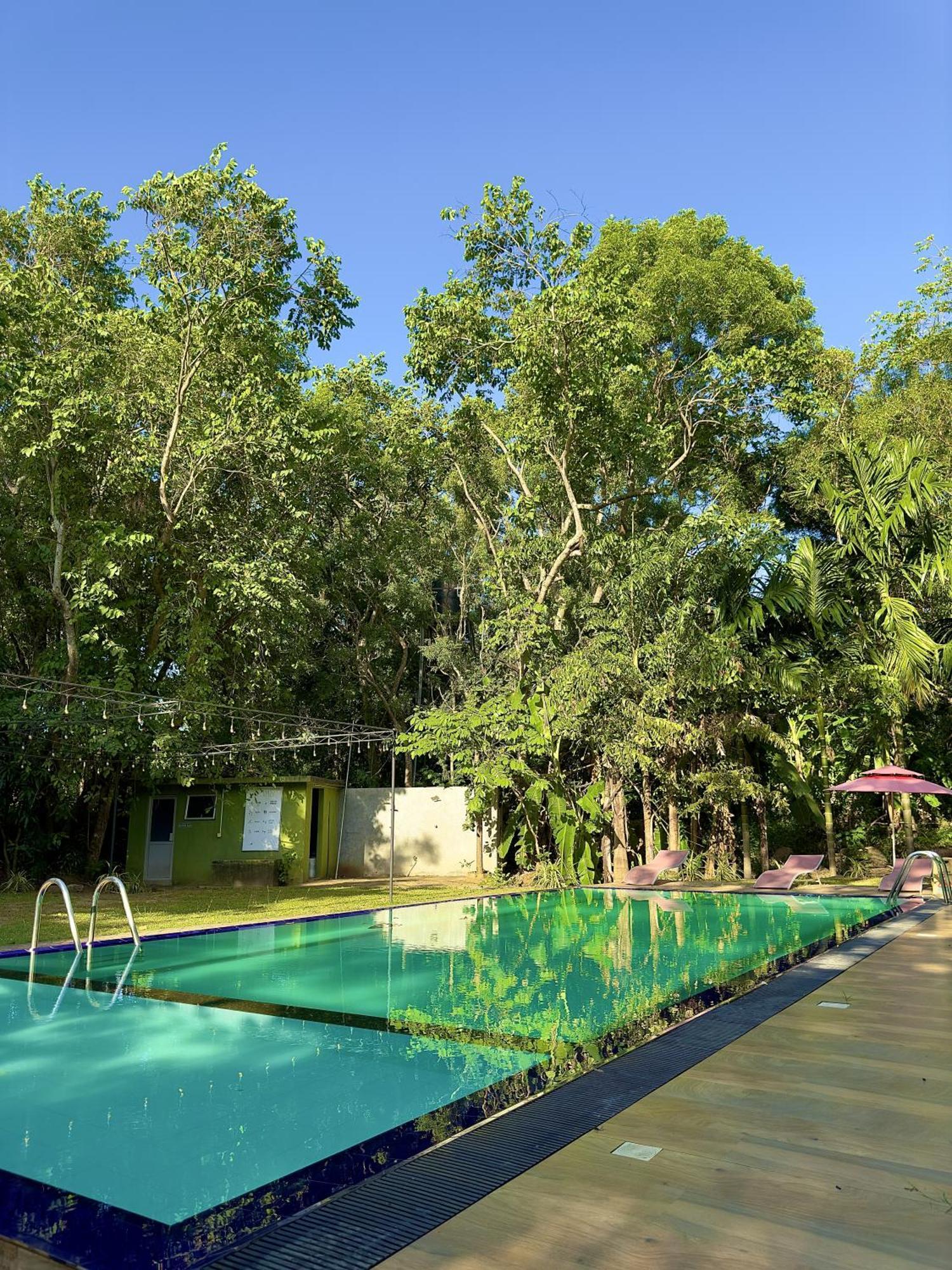 Birds Paradise Inn Удавалаве Экстерьер фото