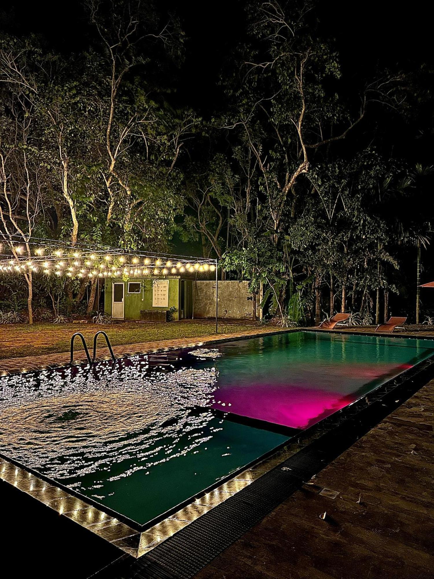 Birds Paradise Inn Удавалаве Экстерьер фото