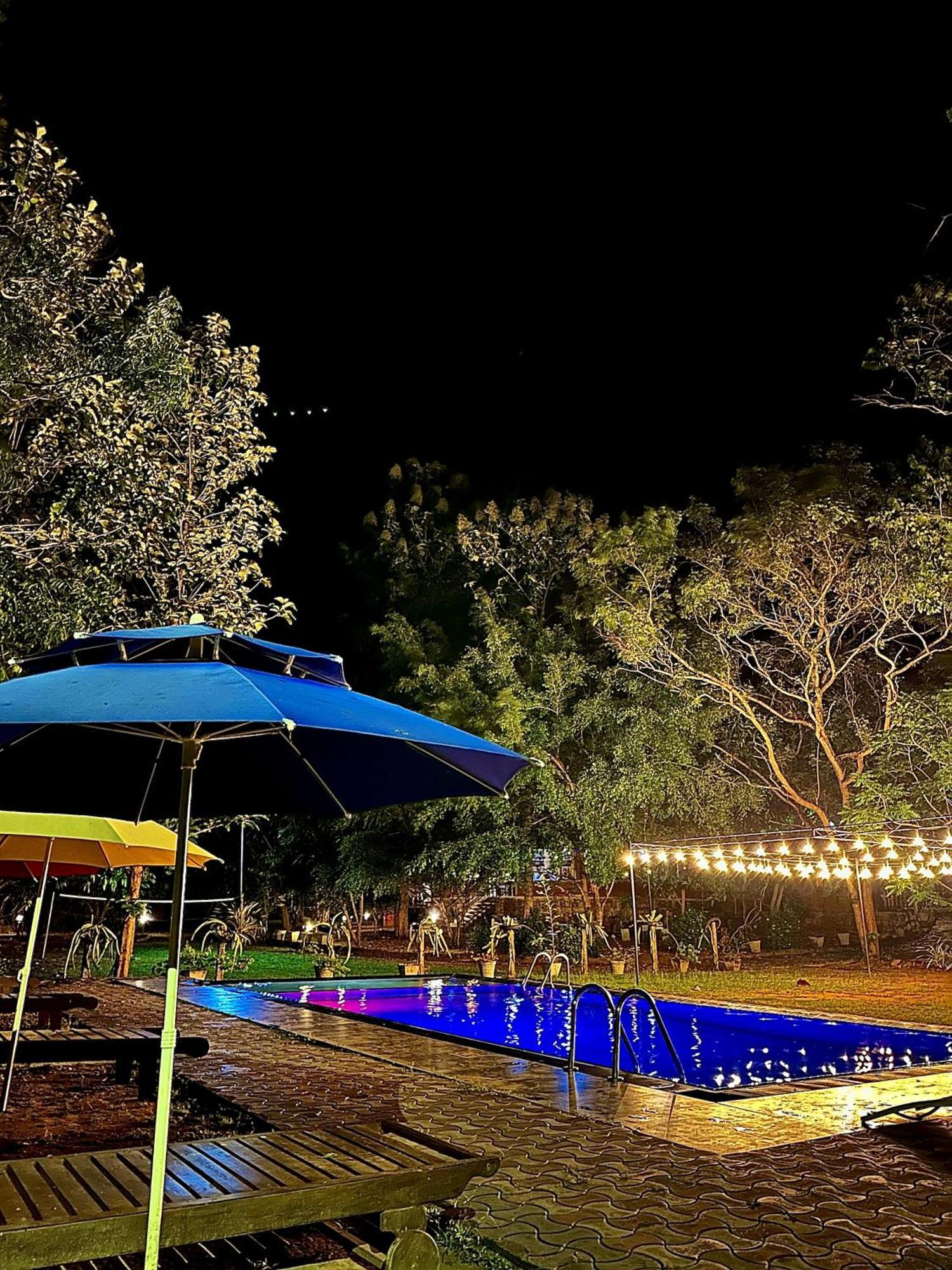 Birds Paradise Inn Удавалаве Экстерьер фото